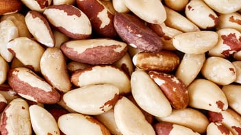 brazil nuts