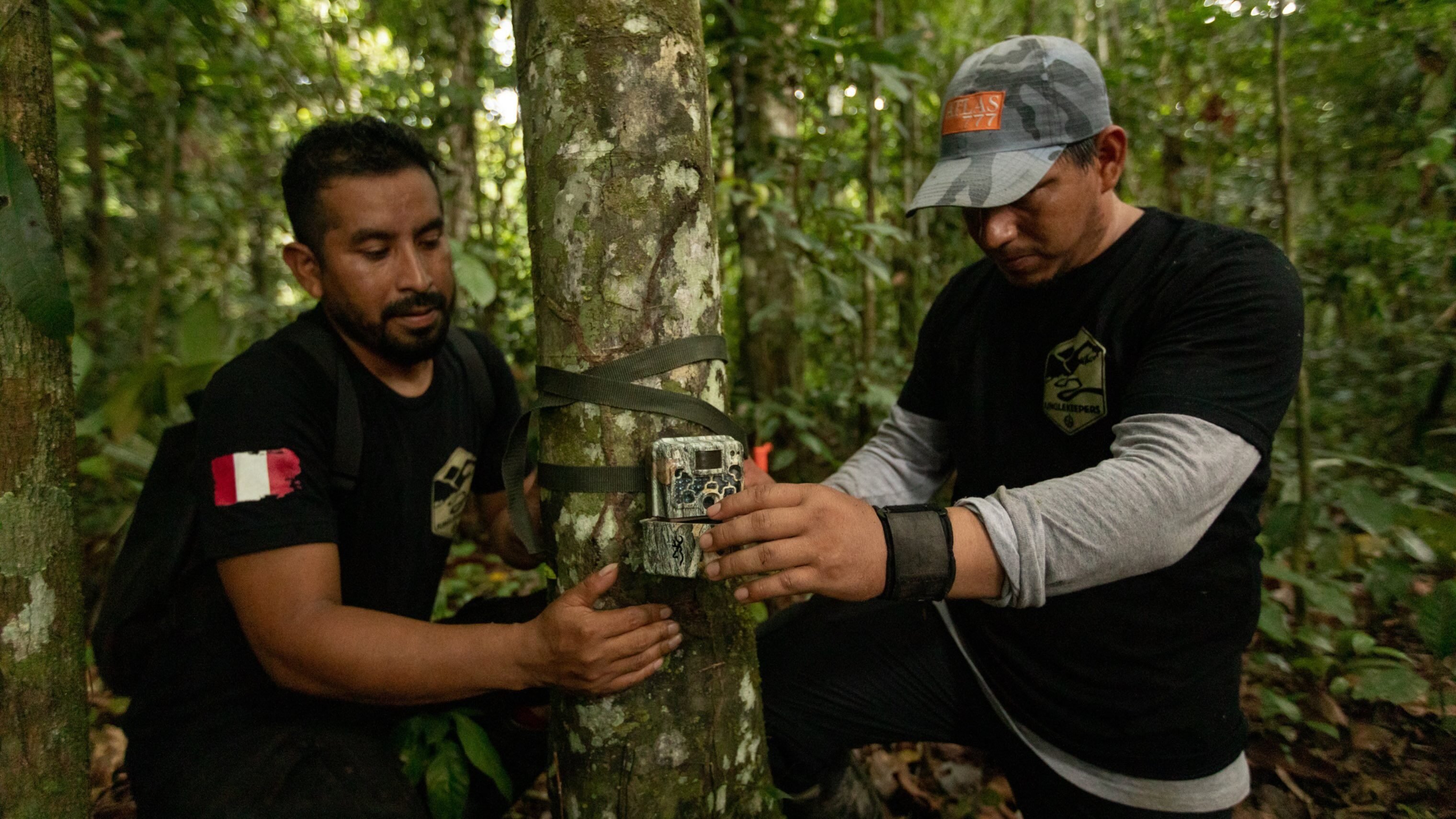 junglekeepers installing a wildlife camera