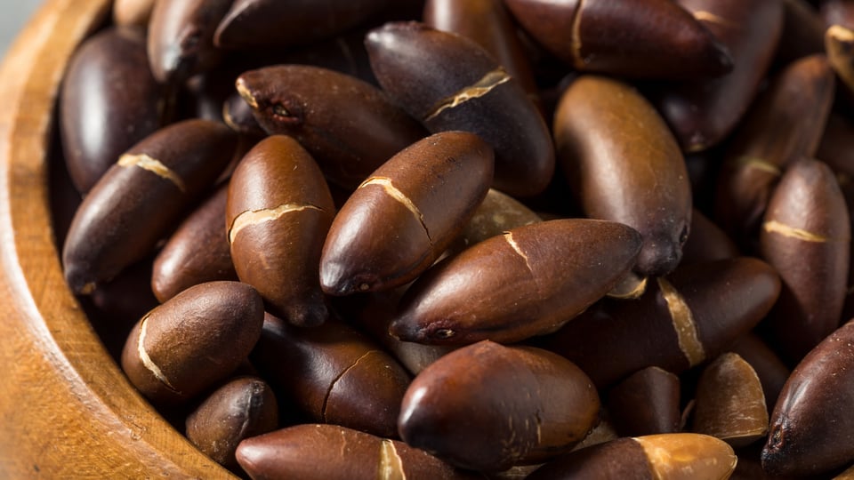 Baru nuts in a bowl