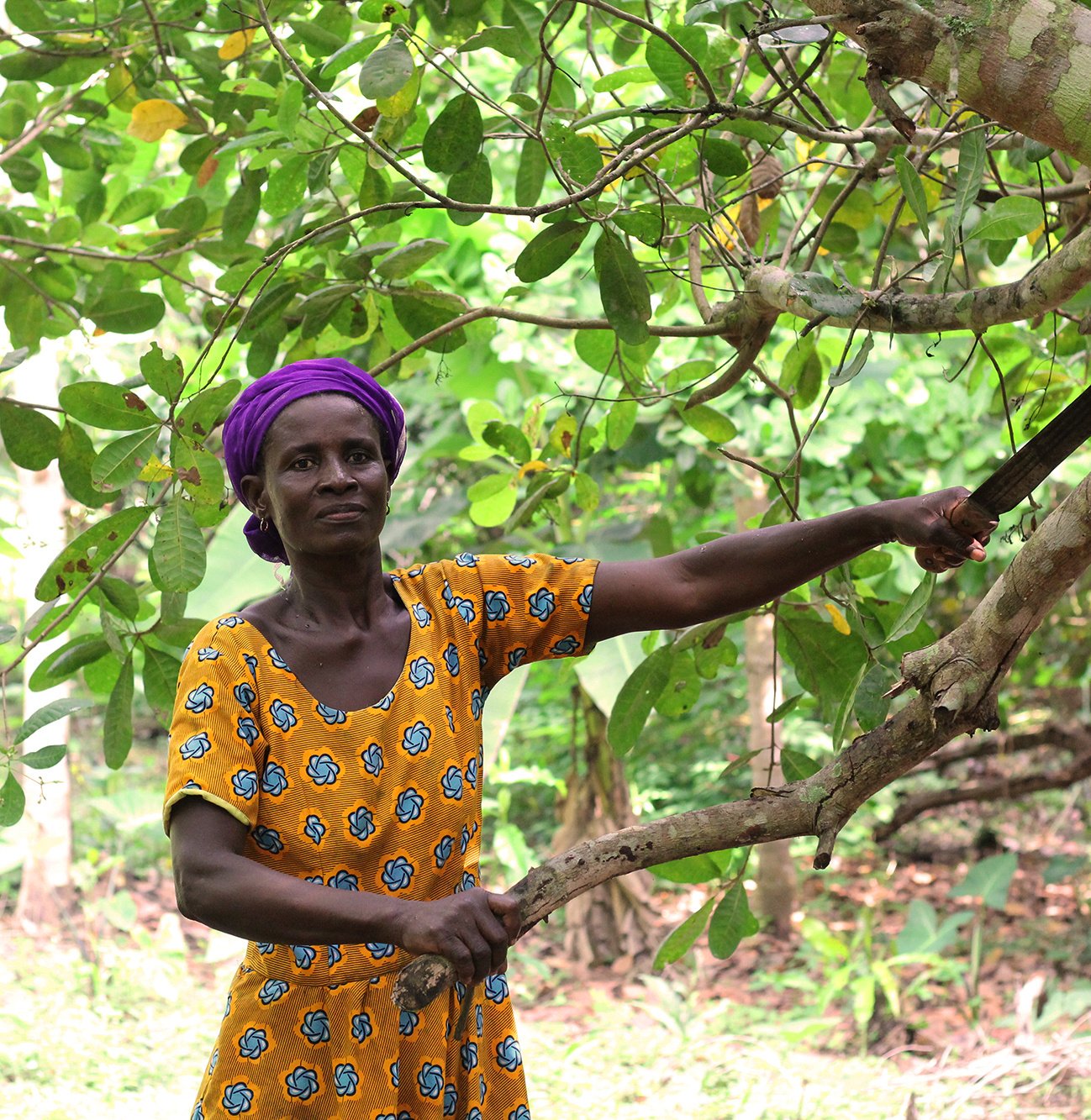 Kate using machete on tree