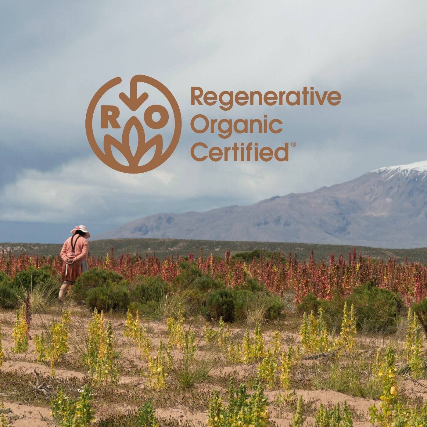 Regenerative Organic Certified logo on image of prairie in front of mountains