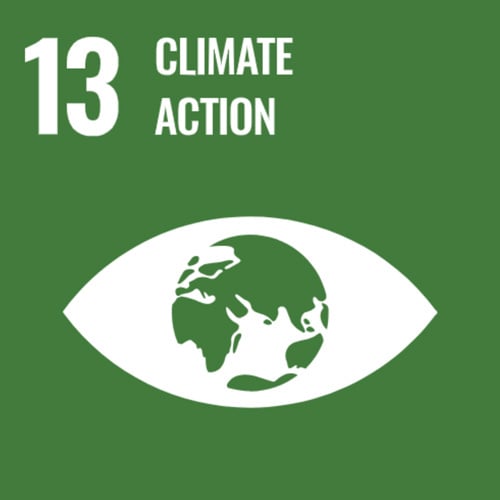 SDG 13 - Climate Action with Eye and world icon