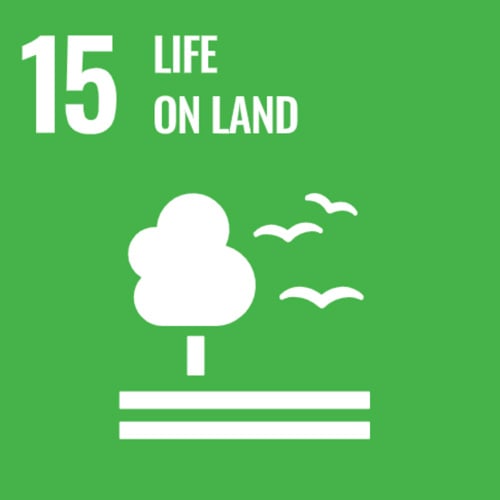 SDG 15 - Life on Land with tree and birds icon