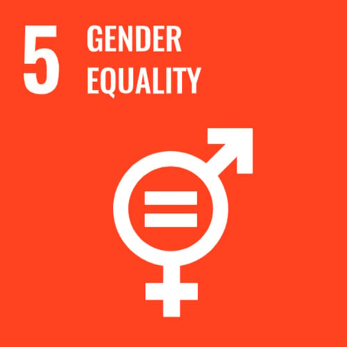 SDG 5 - Gender Equality with gender icon