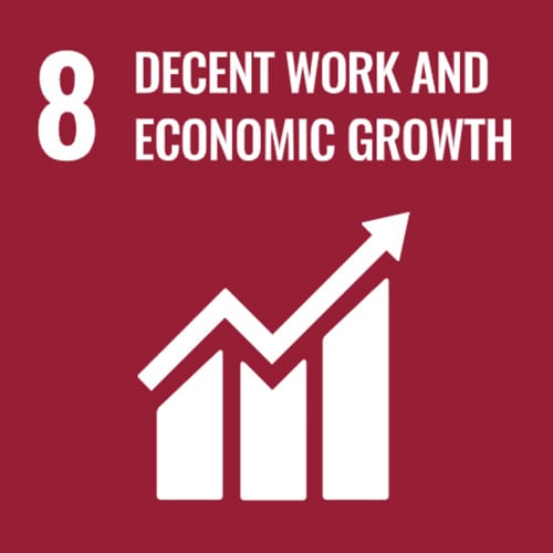 SDG 8 - Decent Work and Economic Growth with upwards chart icon