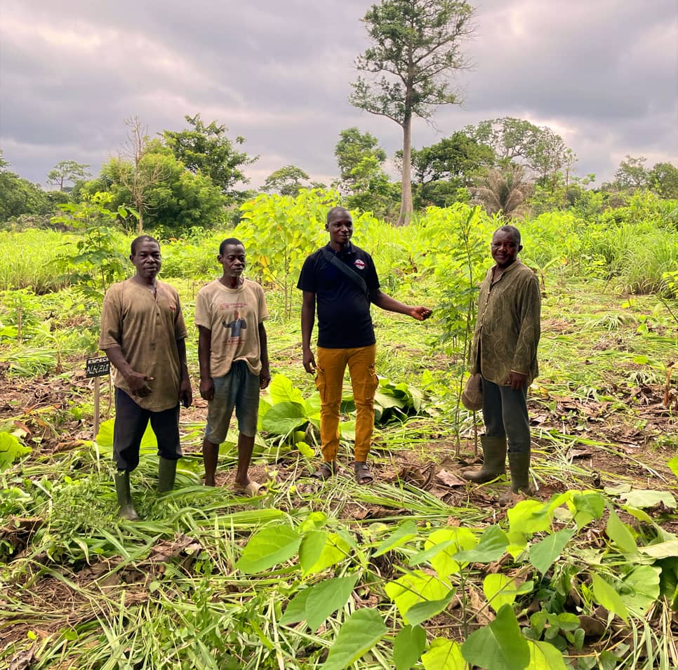 Group of reforestation workers