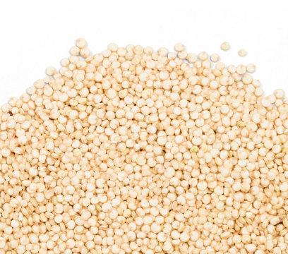 scattered Quinoa